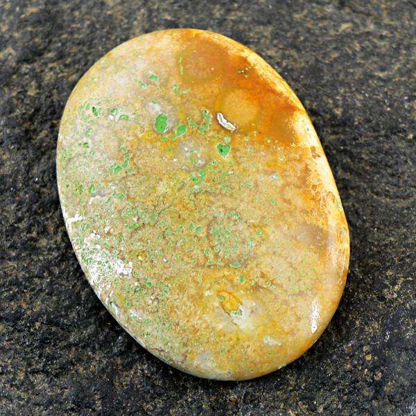 gemsmore:Natural Amazing Coral Fossil Oval Shape Untreated Loose Gemstone