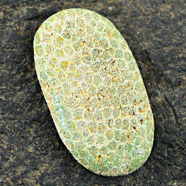 gemsmore:Natural Amazing Coral Fossil Oval Shape Untreated Loose Gemstone