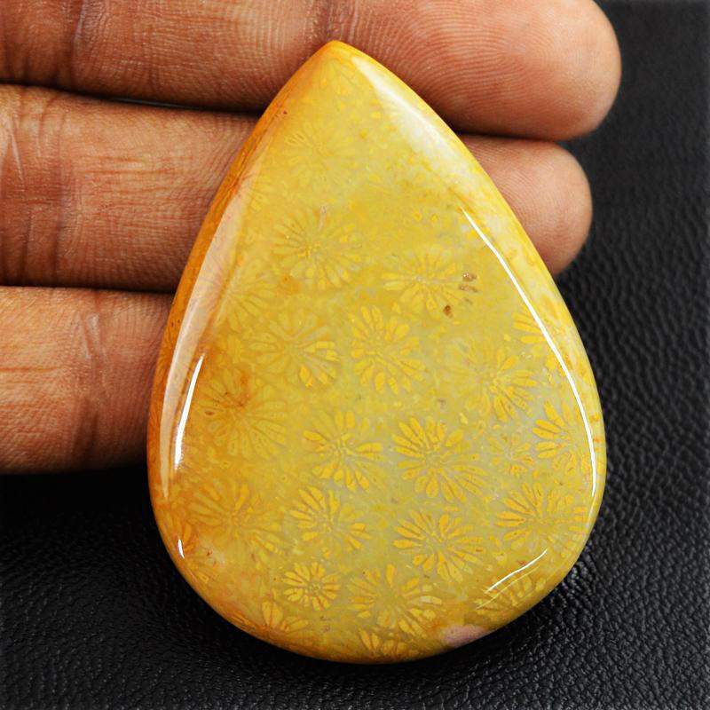gemsmore:Natural Amazing Coral Fossil Pear Shape Gemstone