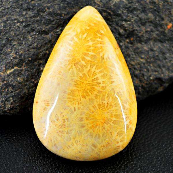 gemsmore:Natural Amazing Coral Fossil Pear Shape Loose Gemstone