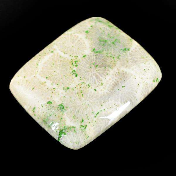 gemsmore:Natural Amazing Coral Fossil Untreated Loose Gemstone