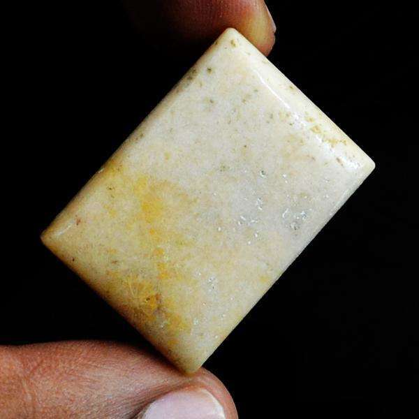 gemsmore:Natural Amazing Coral Fossil Untreated Loose Gemstone