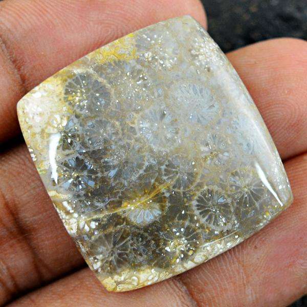 gemsmore:Natural Amazing Coral Fossil Untreated Loose Gemstone
