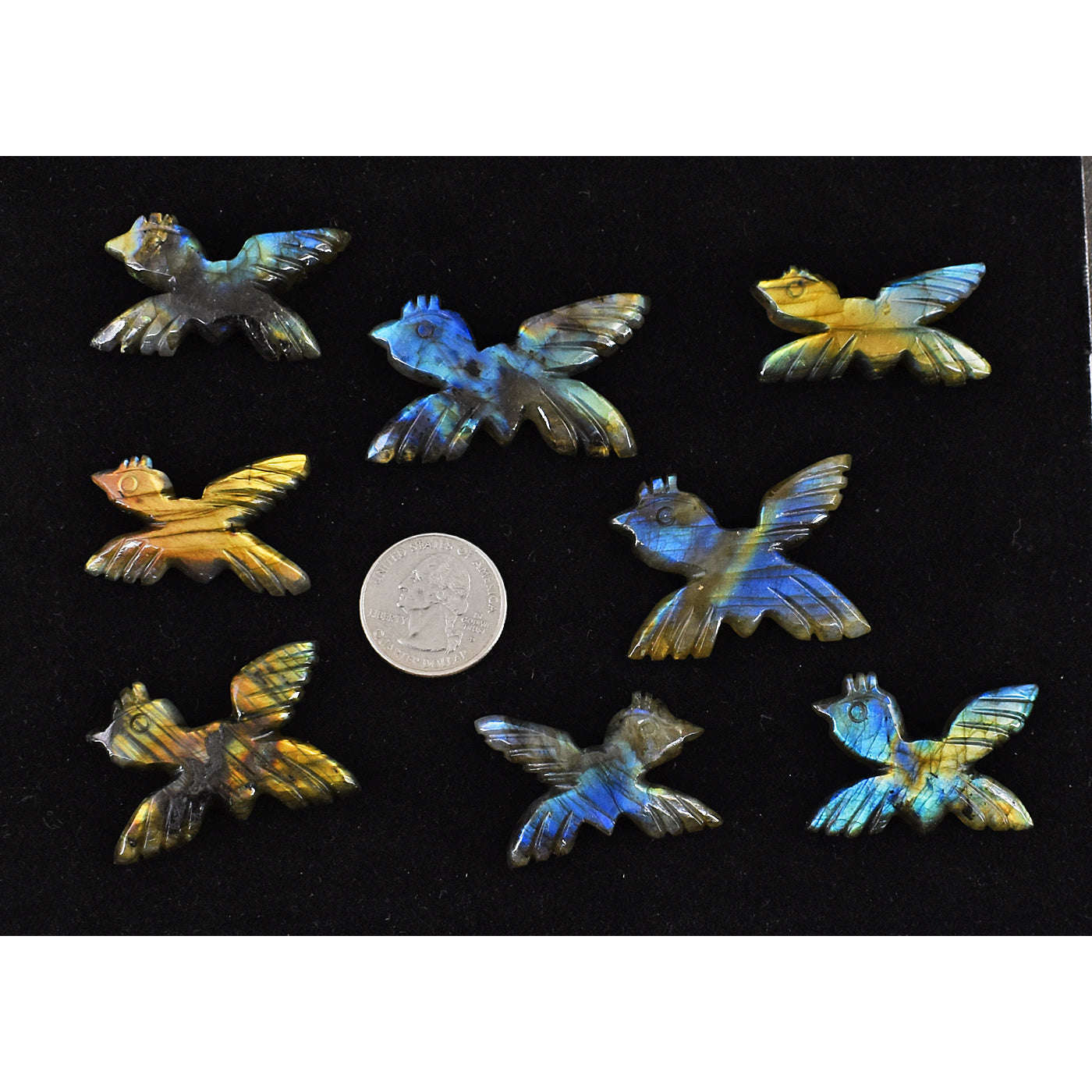 gemsmore:Natural Amazing Flash Labradorite Untreated Carved Bird Gemstone Cabochon Lot