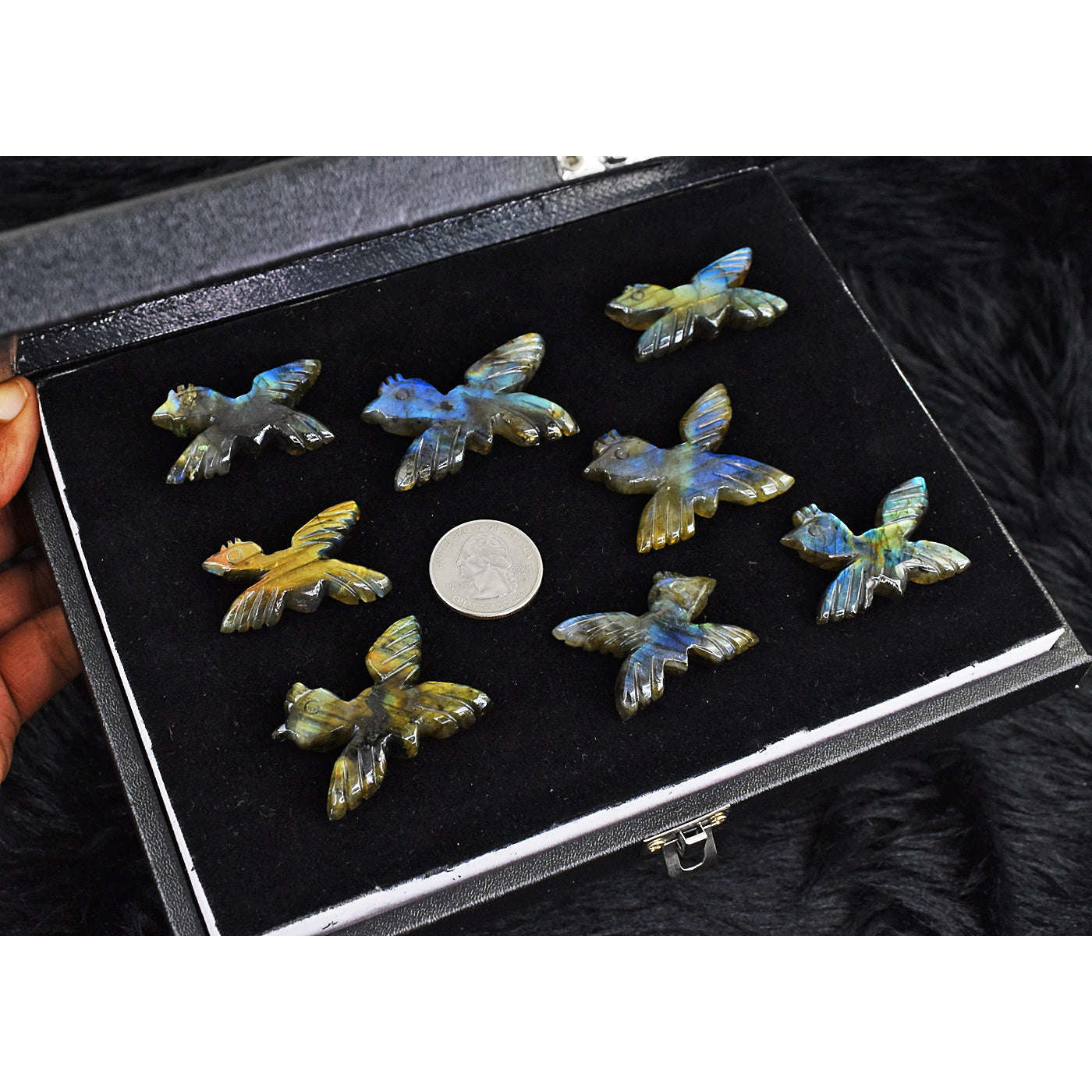gemsmore:Natural Amazing Flash Labradorite Untreated Carved Bird Gemstone Cabochon Lot