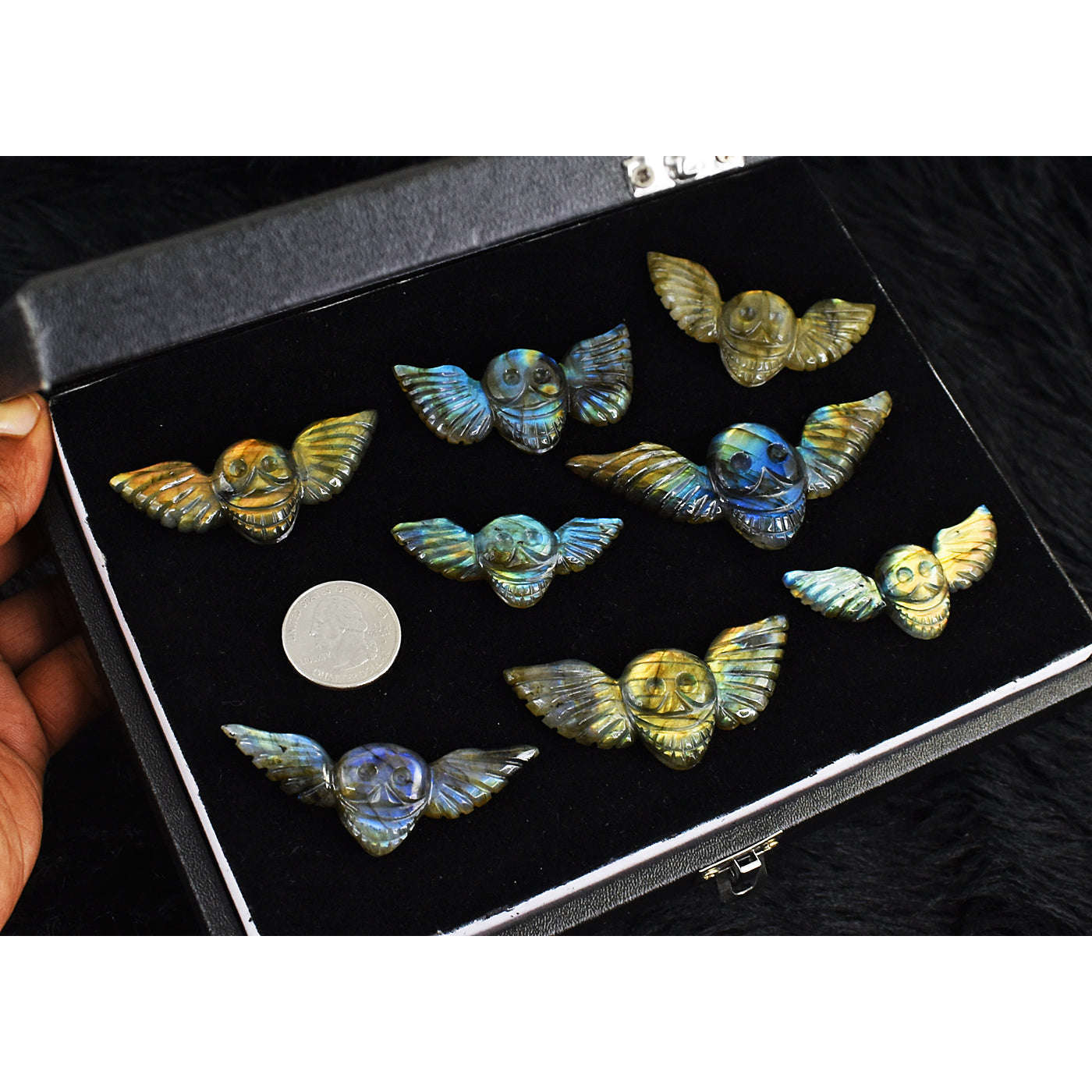 gemsmore:Natural Amazing Flash  Labradorite Untreated Skull Wing Cabochon Lot