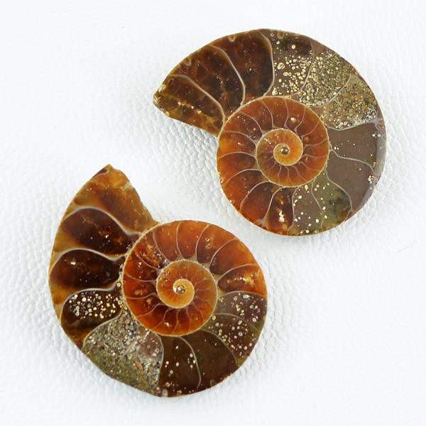 gemsmore:Natural Ammonite Gemstone Pair