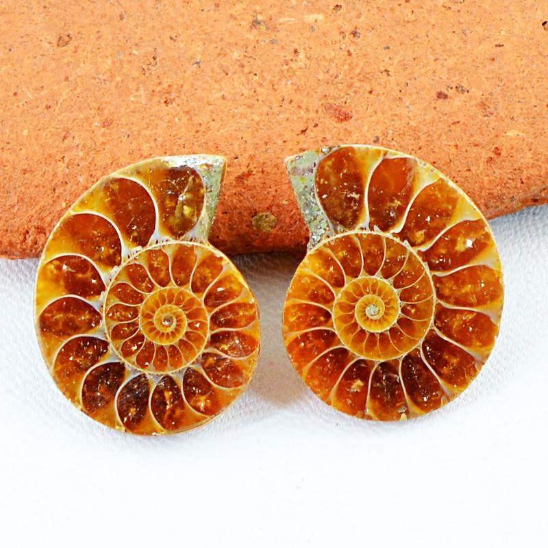 gemsmore:Natural Ammonite Loose Gemstone Pair
