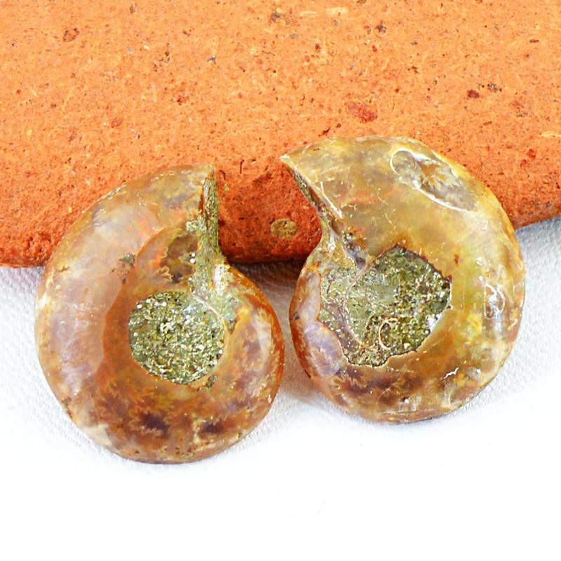 gemsmore:Natural Ammonite Loose Gemstone Pair