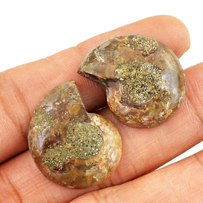 gemsmore:Natural Ammonite Untreated Loose Gemstone Pair