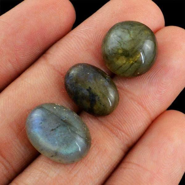 gemsmore:Natural Blue & Golden Flash Labradorite Untreated Gemstone Lot