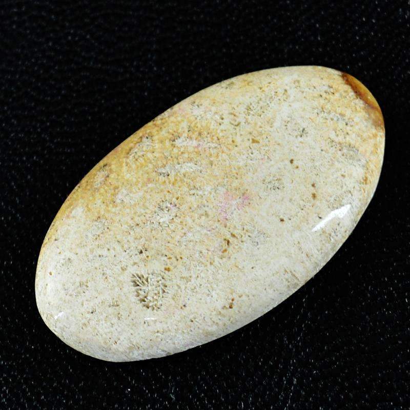 gemsmore:Natural Coral Fossil Gemstone - Unheated Oval Shape