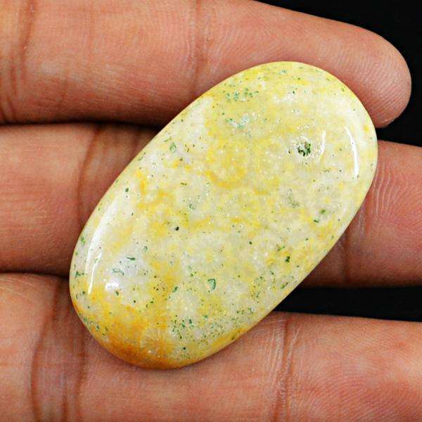 gemsmore:Natural Coral Fossil Oval Shape Loose Gemstone
