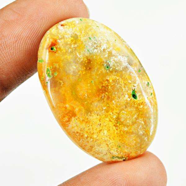 gemsmore:Natural Coral Fossil Oval Shape Loose Gemstone