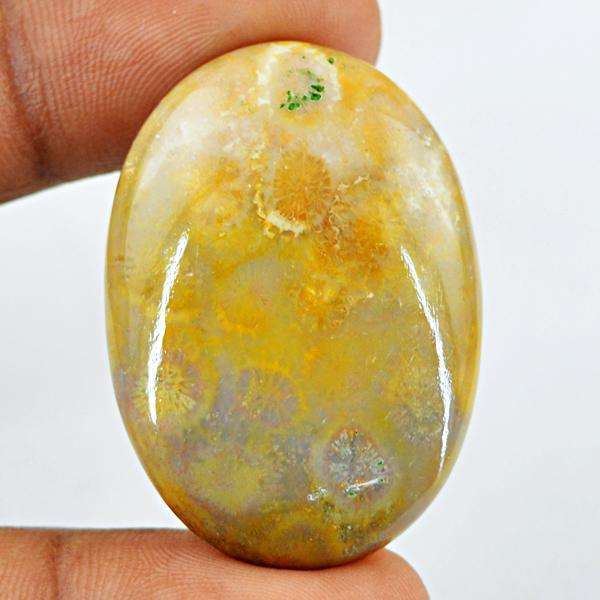 gemsmore:Natural Coral Fossil Oval Shape Loose Gemstone