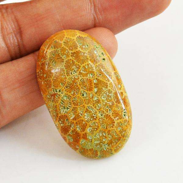 gemsmore:Natural Coral Fossil Oval Shape Untreated Loose Gemstone