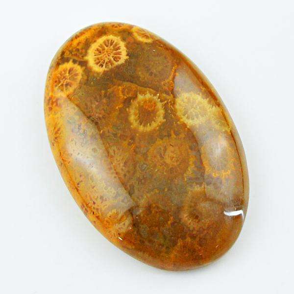 gemsmore:Natural Coral Fossil Oval Shape Untreated Loose Gemstone