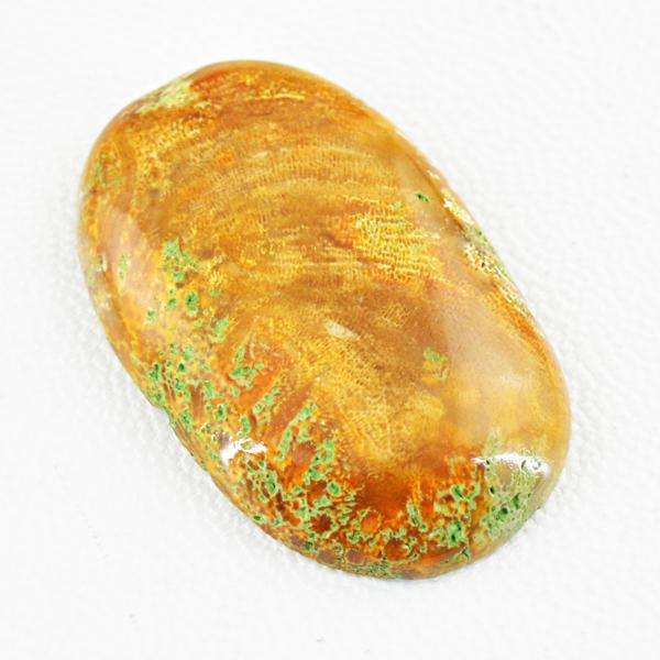 gemsmore:Natural Coral Fossil Oval Shape Untreated Loose Gemstone