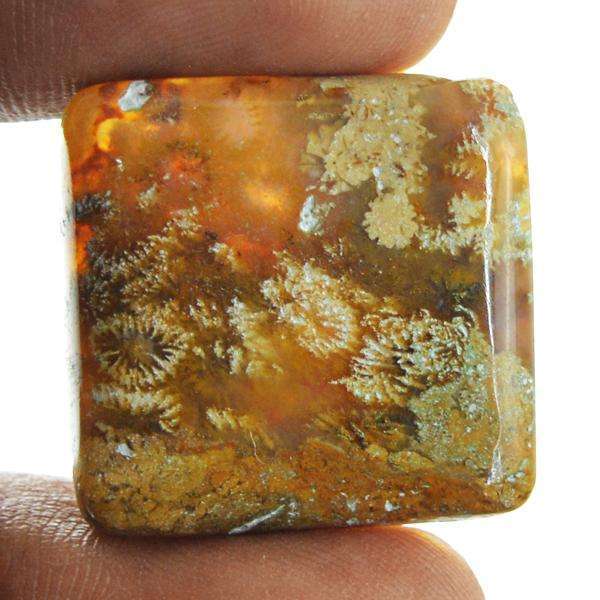gemsmore:Natural Coral Fossil Untreated Loose Gemstone