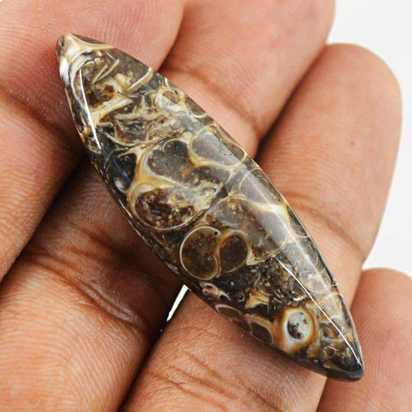 gemsmore:Natural Crinoid Fossil Gemstone - Loose Unheated