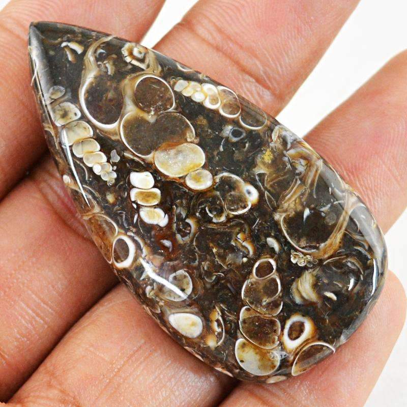 gemsmore:Natural Crinoid Fossil Gemstone - Pear Shape