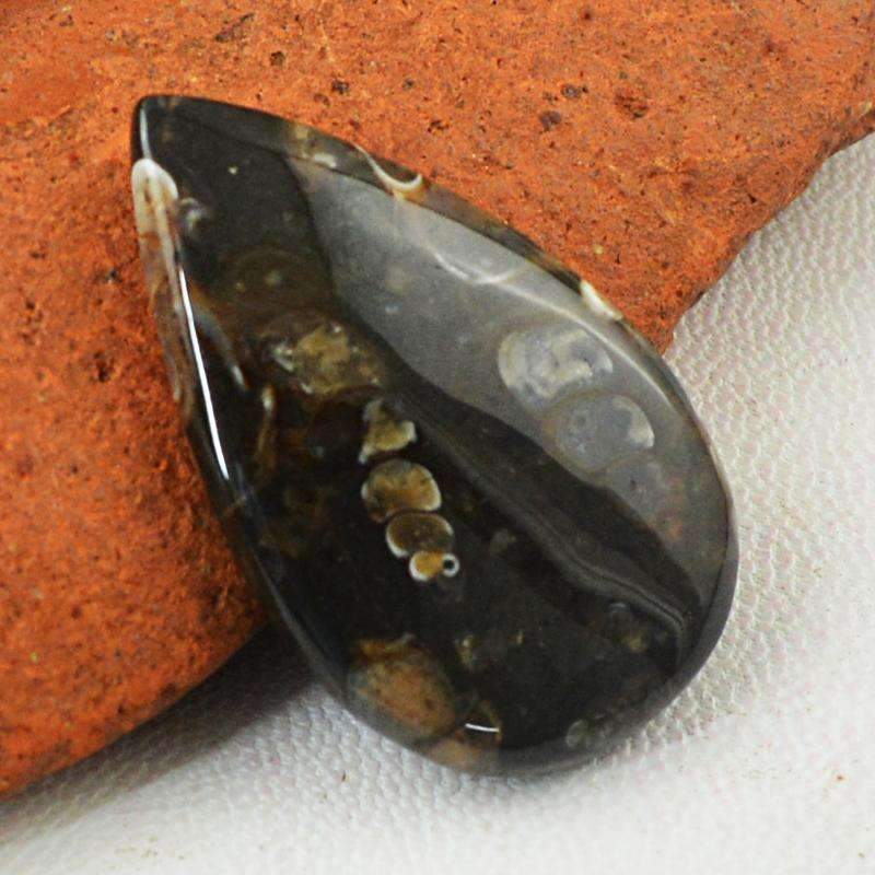 gemsmore:Natural Crinoid Fossil Gemstone - Pear Shape