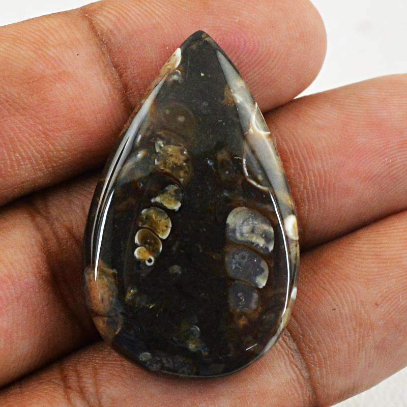 gemsmore:Natural Crinoid Fossil Gemstone - Pear Shape