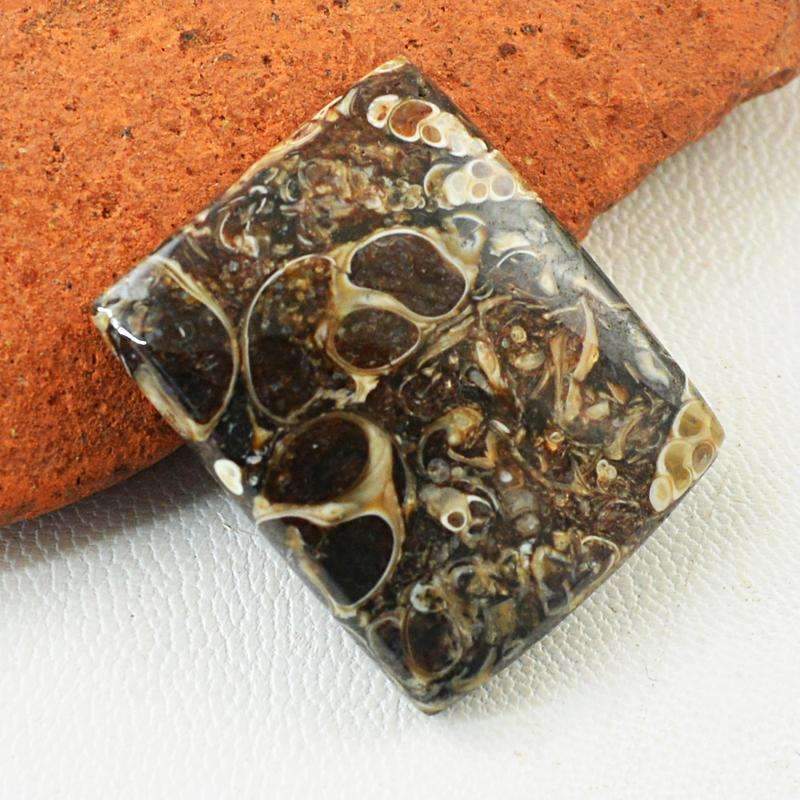 gemsmore:Natural Crinoid Fossil Gemstone Loose Untreated
