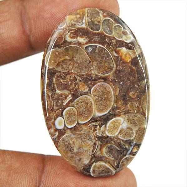 gemsmore:Natural Crinoid Fossil Oval Shape Loose Gemstone