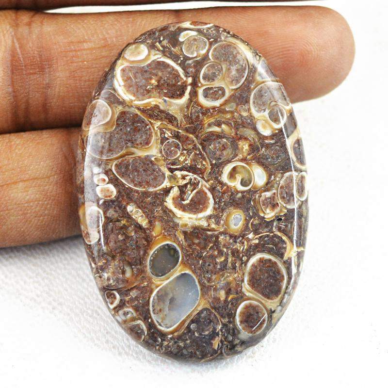 gemsmore:Natural Crinoid Fossil Oval Shape Loose Gemstone