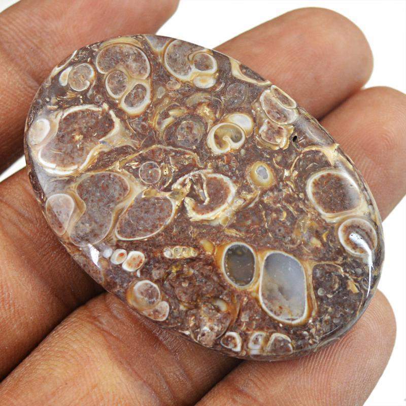 gemsmore:Natural Crinoid Fossil Oval Shape Loose Gemstone