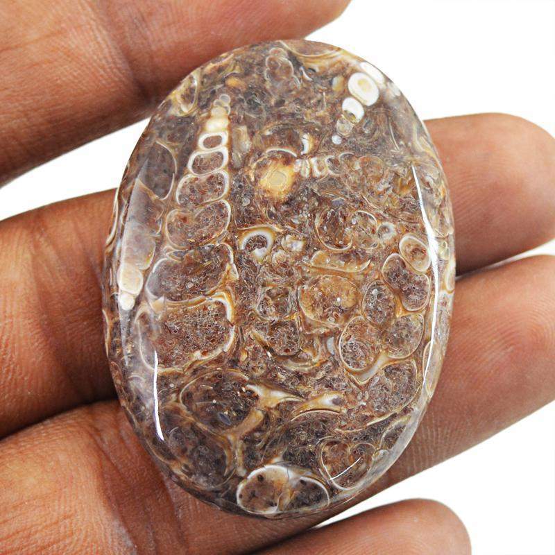 gemsmore:Natural Crinoid Fossil Oval Shape Unheated Gemstone
