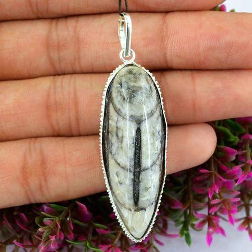 gemsmore:Natural Orthoceras Fossil Pendant