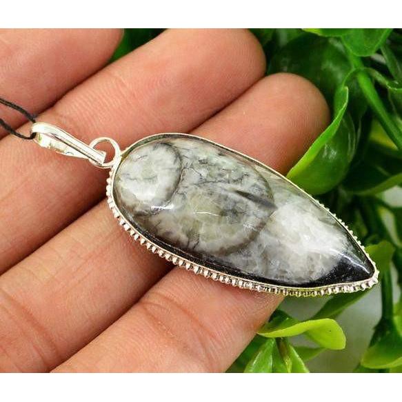 gemsmore:Natural Orthoceras Fossil Pendant