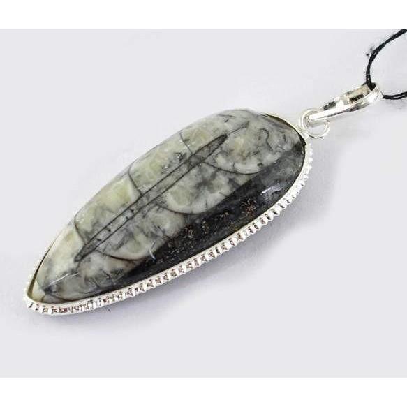 gemsmore:Natural Orthoceras Fossil Pendant