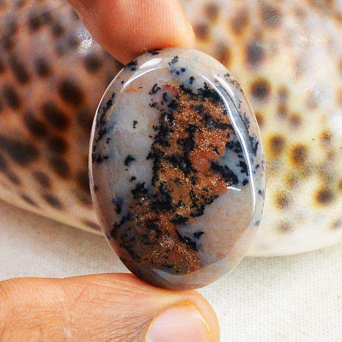 gemsmore:Natural Oval Shape Untreated Dendrite Opal Loose Gemstone