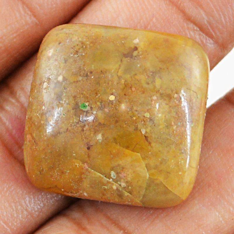gemsmore:Natural Polygram Jasper Gemstone - Loose Unheated
