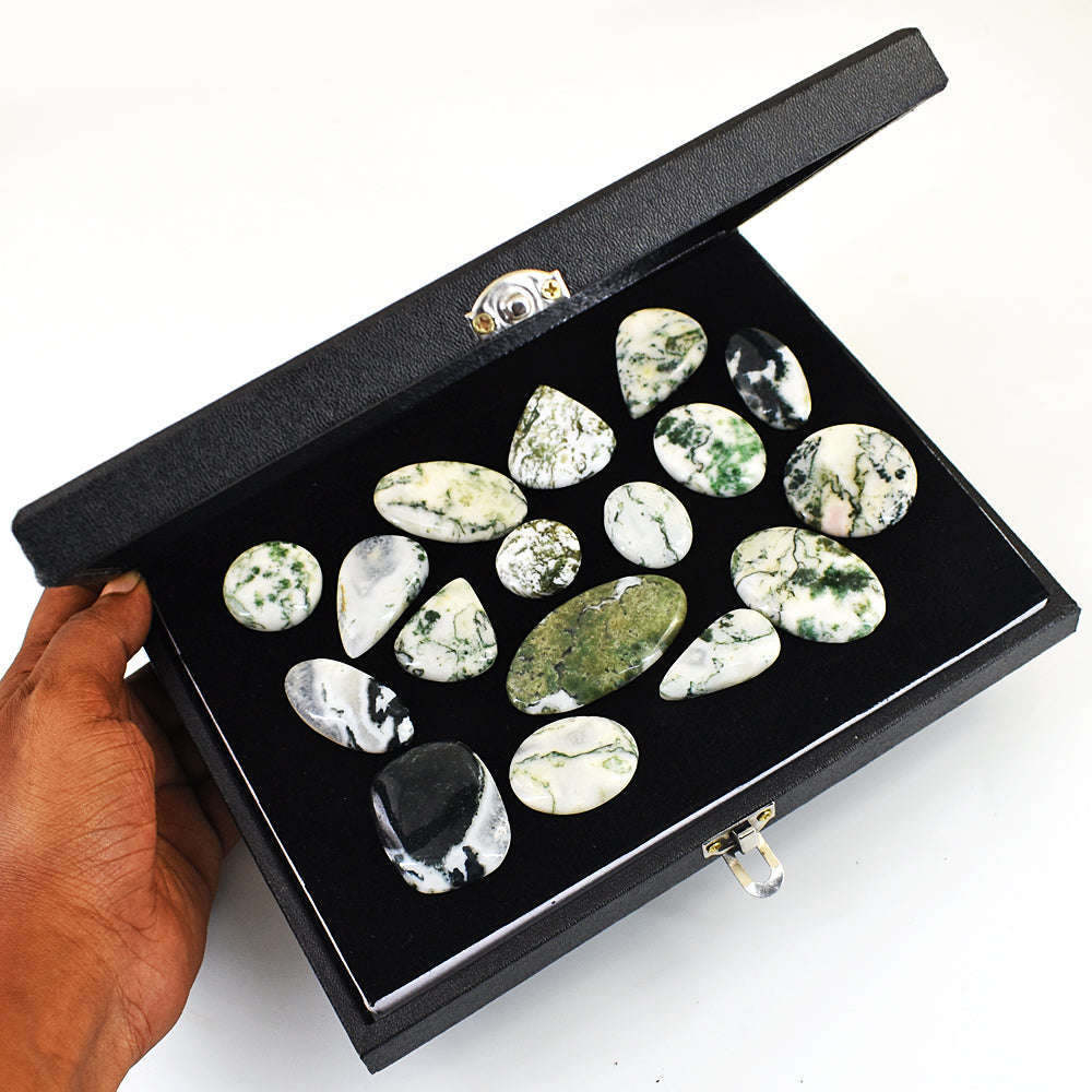 gemsmore:Natural Tree Agate Untreated Gemstone Cabochon Lot