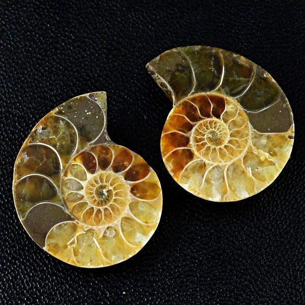 gemsmore:Natural Untreated Ammonite Gemstone Pair