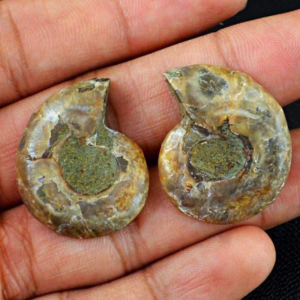 gemsmore:Natural Untreated Ammonite Gemstone Pair