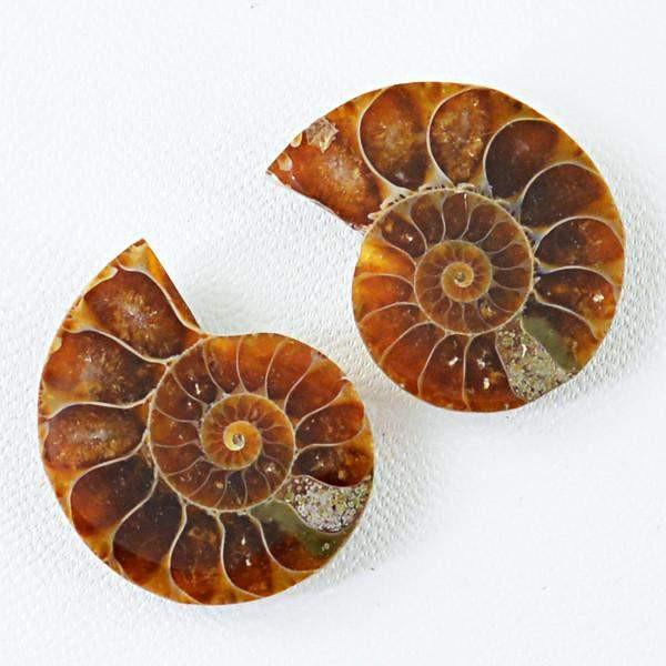 gemsmore:Natural Untreated Ammonite Gemstone Pair