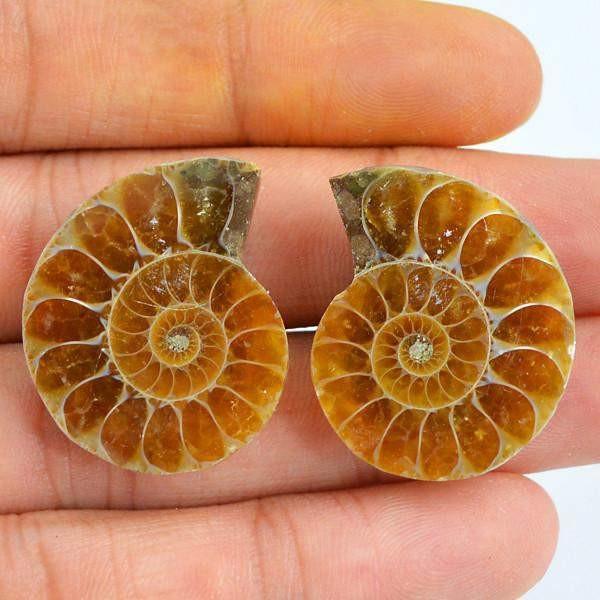 gemsmore:Natural Untreated Ammonite Gemstone Pair