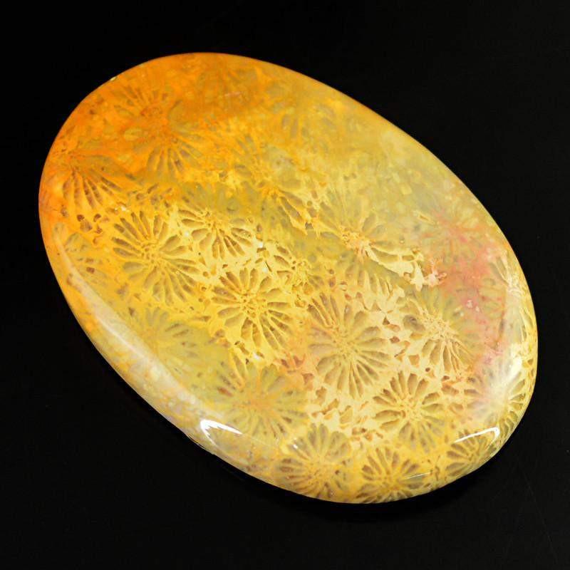 gemsmore:Natural Untreated Coral Fossil Oval Shape Gemstone