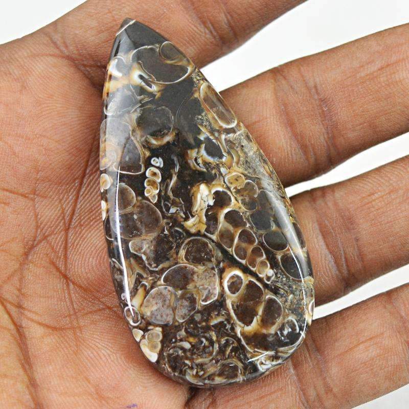 gemsmore:Natural Untreated Crinoid Fossil Gemstone - Pear Shape