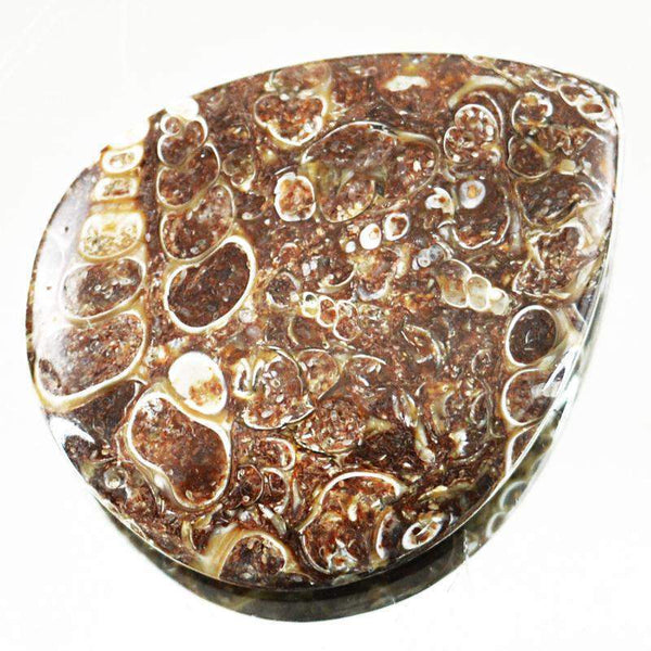 gemsmore:Natural Untreated Crinoid Fossil Pear Shape Gemstone
