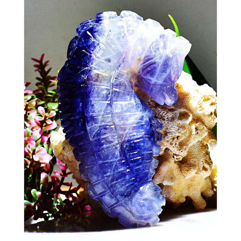 gemsmore:Stunning Purple Fluorite Craftsmen Hand Carved Seahorse