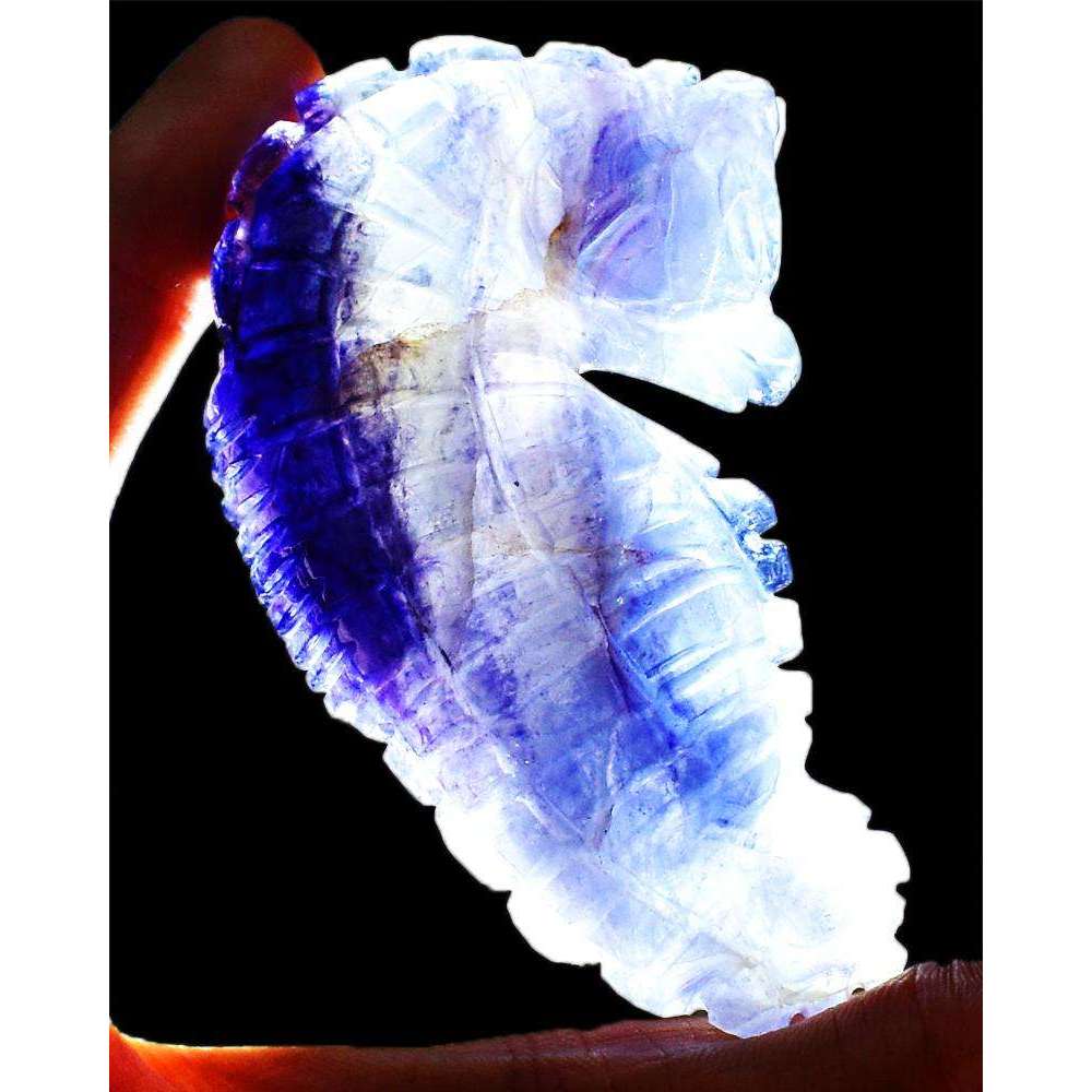 gemsmore:Stunning Purple Fluorite Craftsmen Hand Carved Seahorse