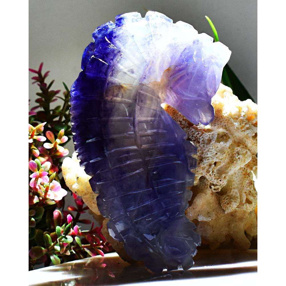 gemsmore:Stunning Purple Fluorite Craftsmen Hand Carved Seahorse